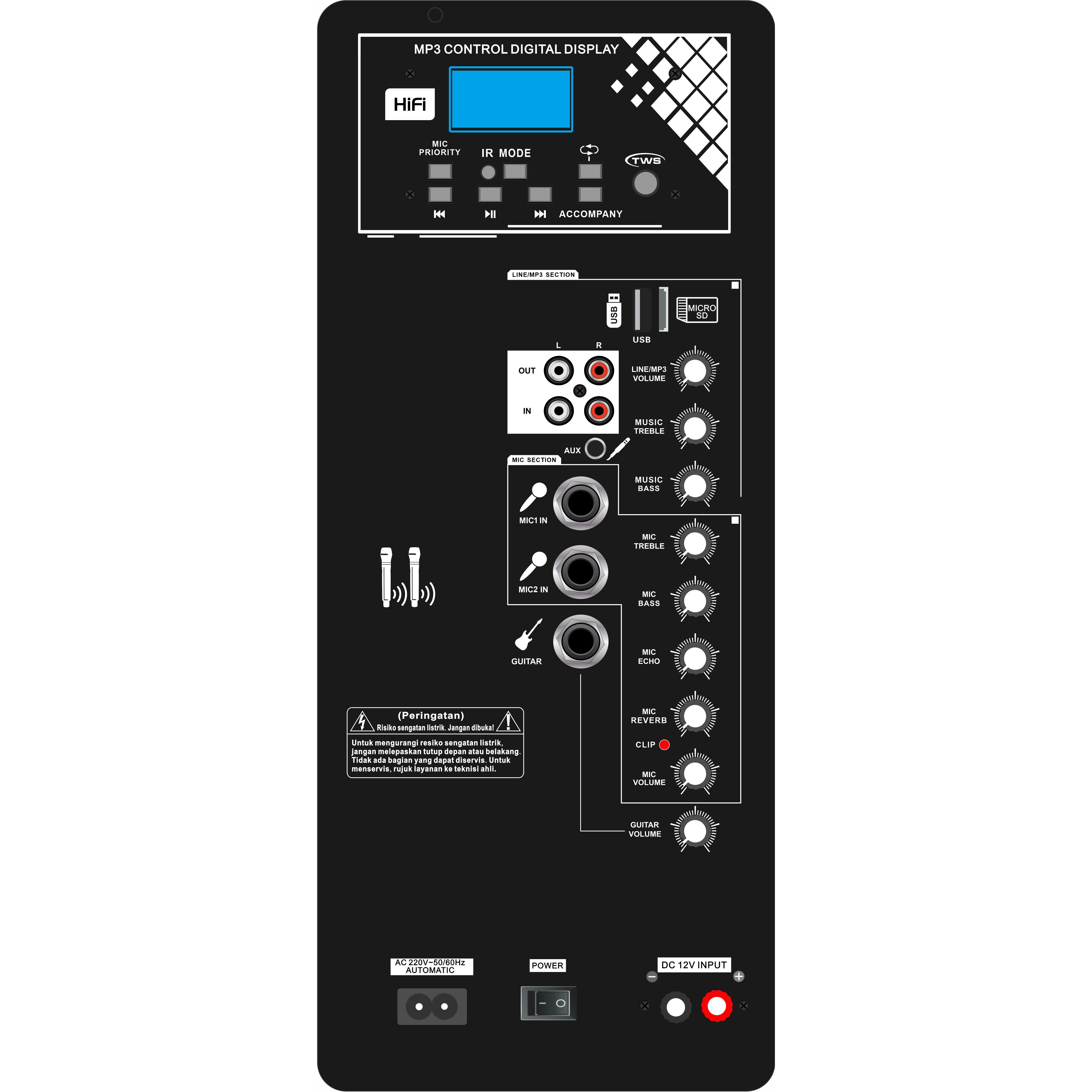 Clasa D Amplificator pentru difuzoare Karaoke cu gamă completă BOOM10